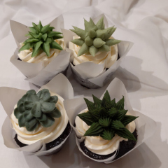 Desserts 