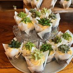 Desserts 