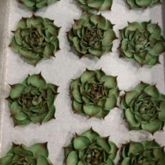 Desserts 